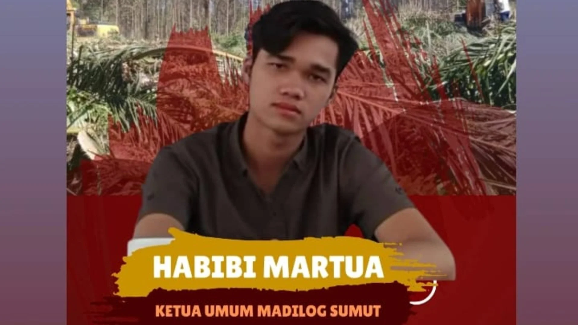 Habibi Tantang PMA Bupati Padang Lawas:  beranikah seperti Bupati Siak Hadapi PT SSL?