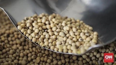 Kedelai hingga Daging Sapi AS Bakal Bebas Tarif Masuk RI